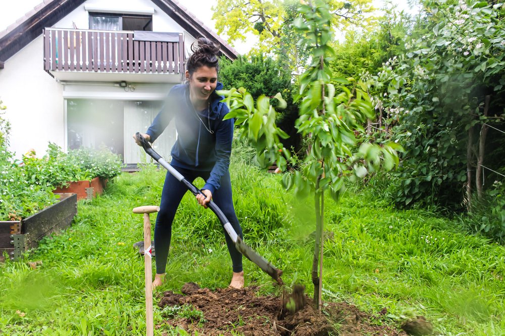 Vanessa Ahlers pflanzt einen Baum im LebensGarten