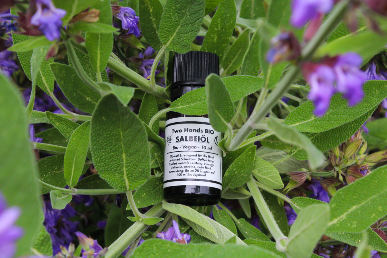 Salbeiöl - Bio - Vegan - 10 ml